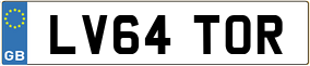Truck License Plate